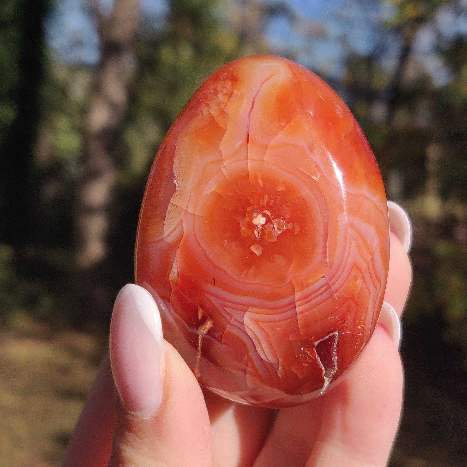 Carnelian Palm Stone (#18) - Simply Affinity