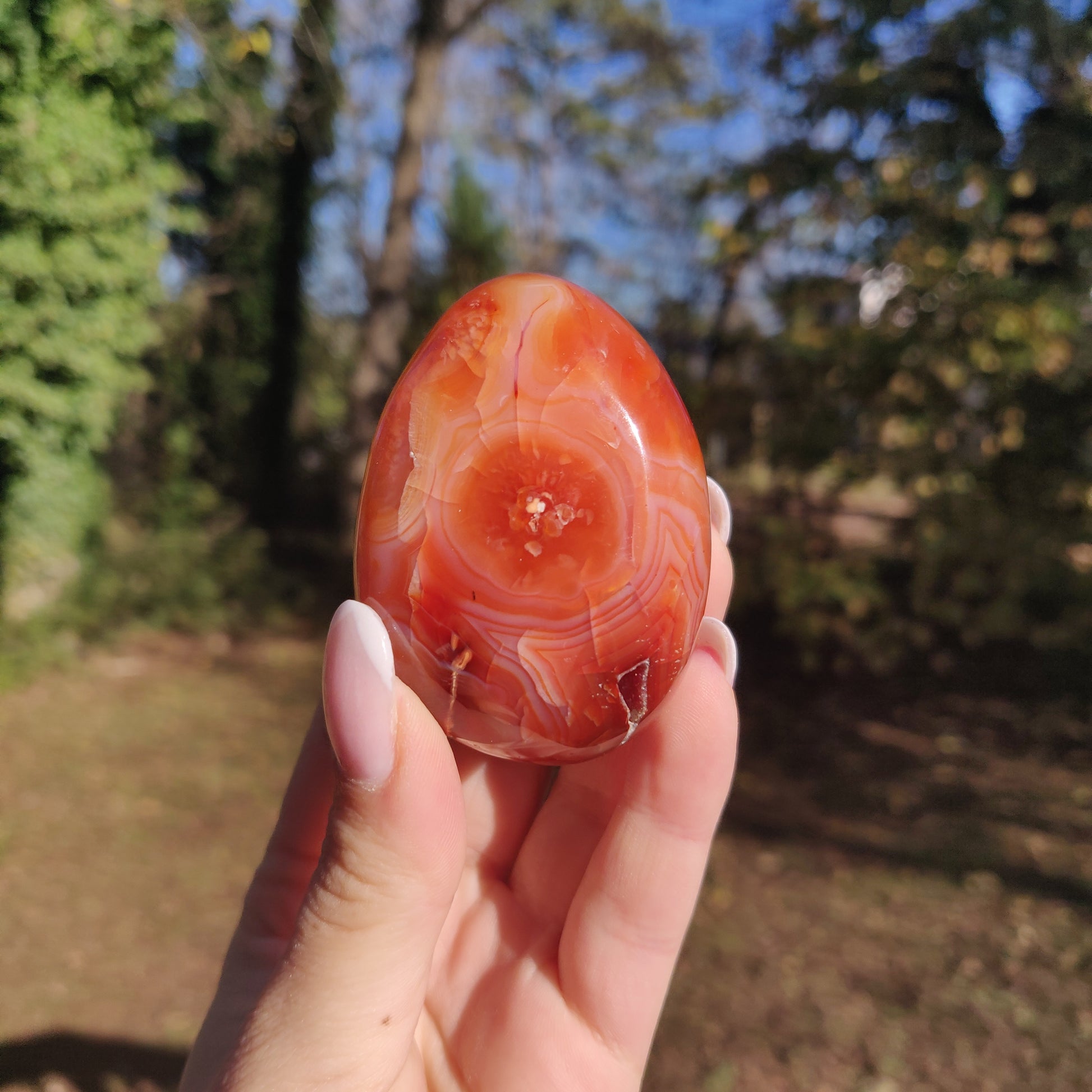 Carnelian Palm Stone (#18) - Simply Affinity