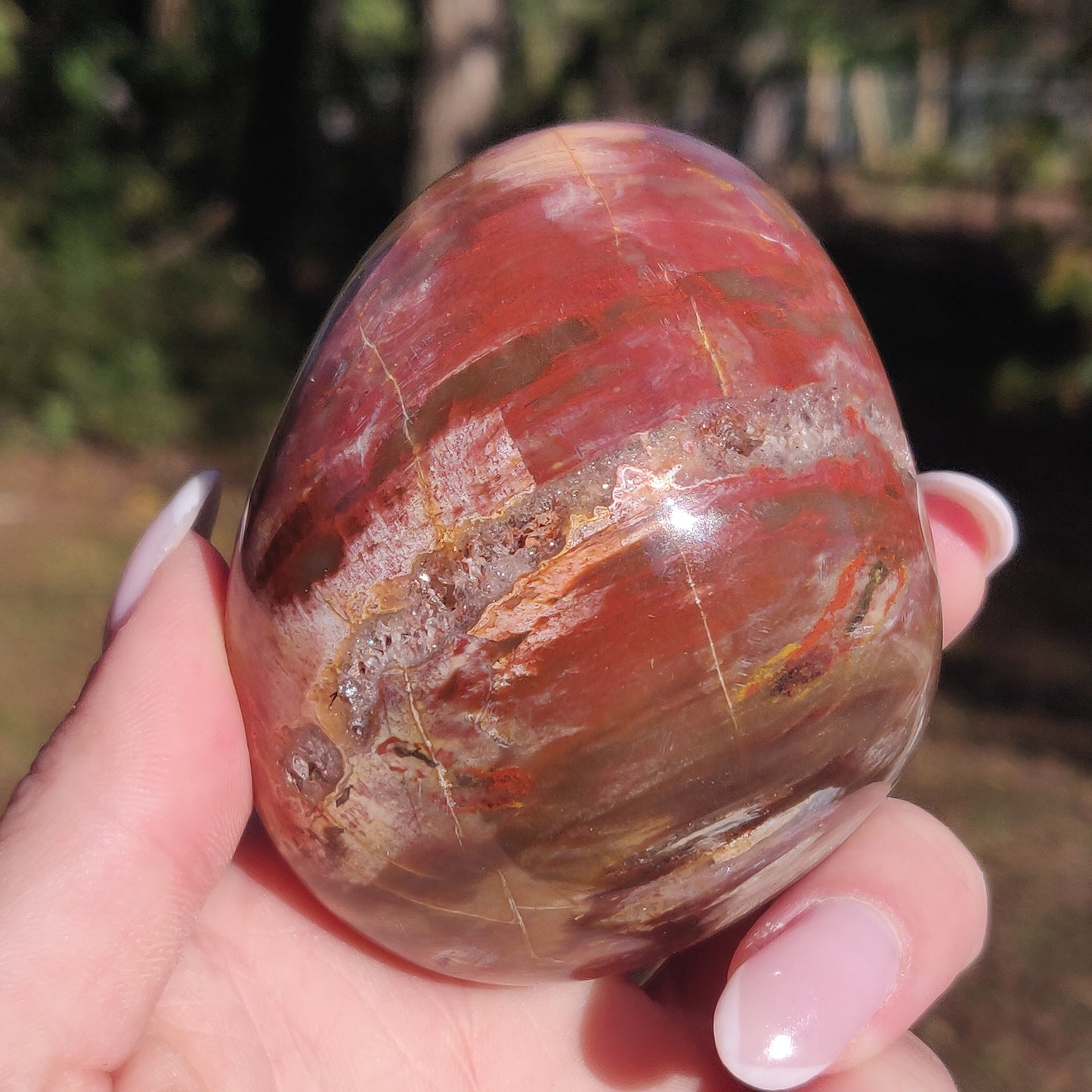 Large Petrified Wood Palm Stone (#12S) - Simply Affinity