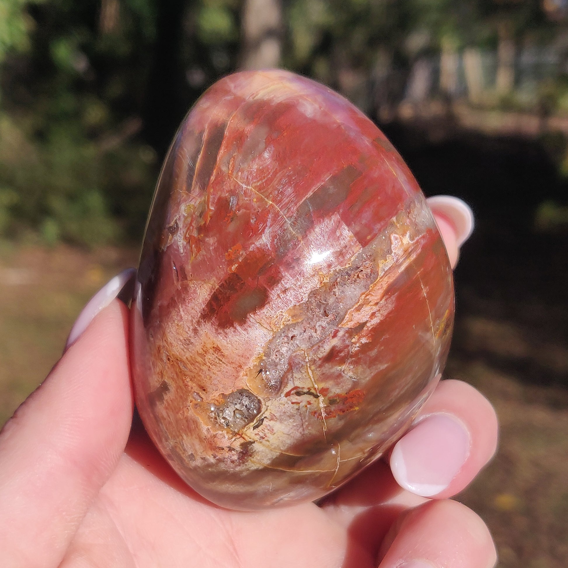 Large Petrified Wood Palm Stone (#12S) - Simply Affinity