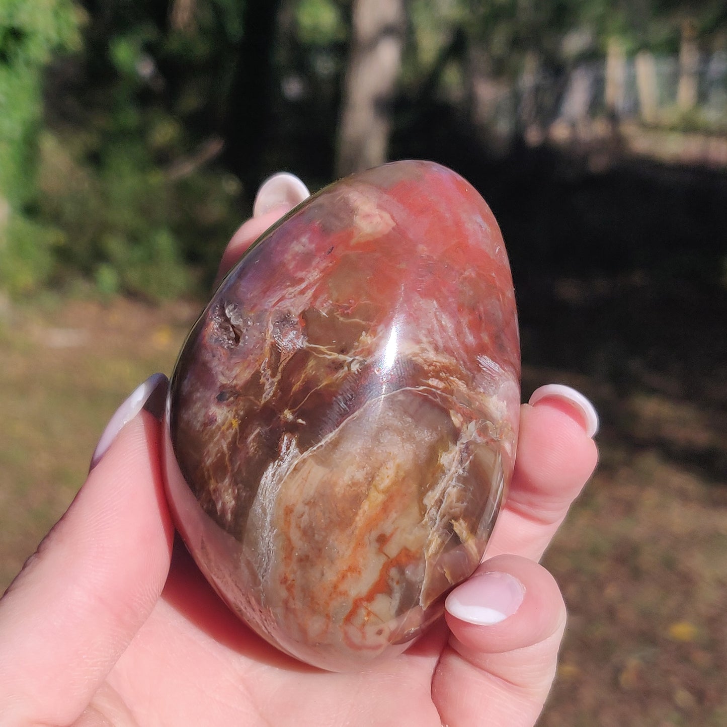 Large Petrified Wood Palm Stone (#12S) - Simply Affinity