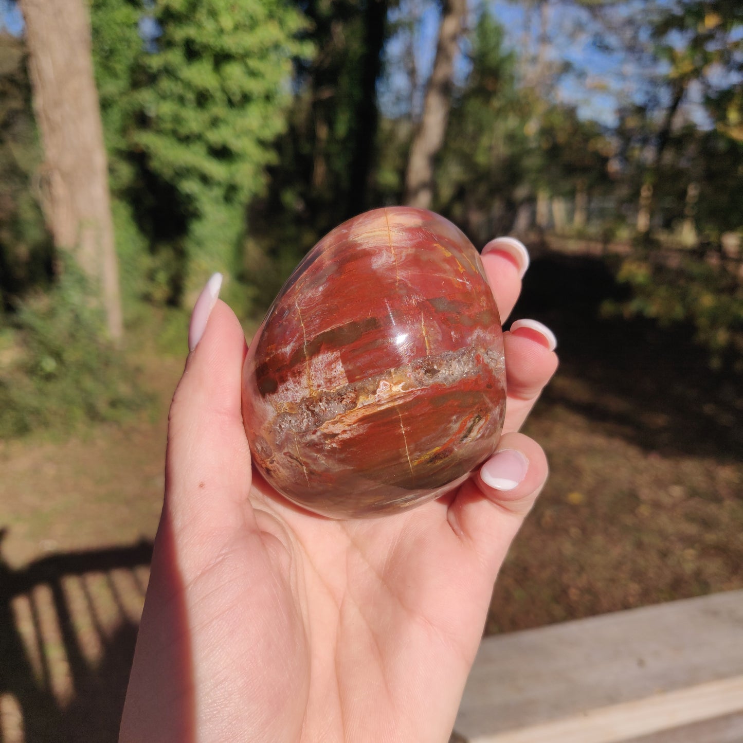Large Petrified Wood Palm Stone (#12S) - Simply Affinity