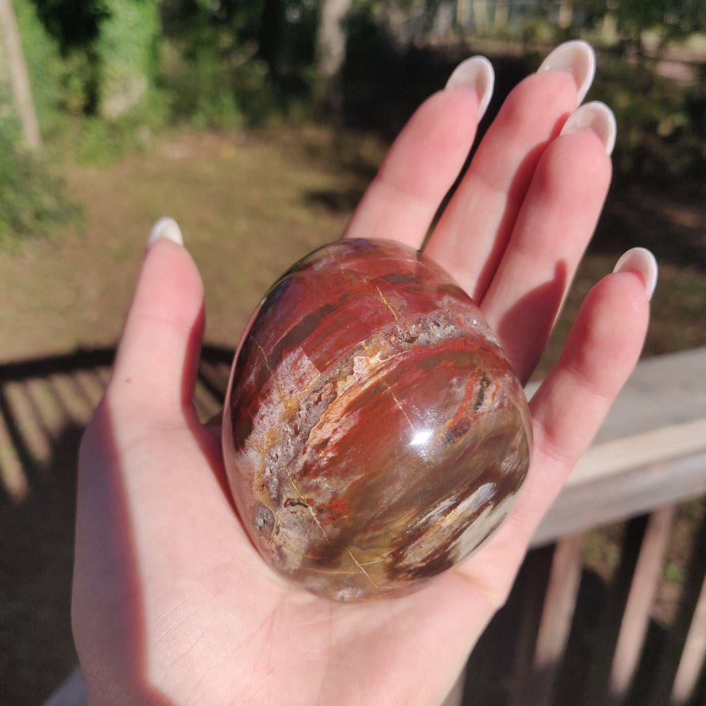 Large Petrified Wood Palm Stone (#12S) - Simply Affinity