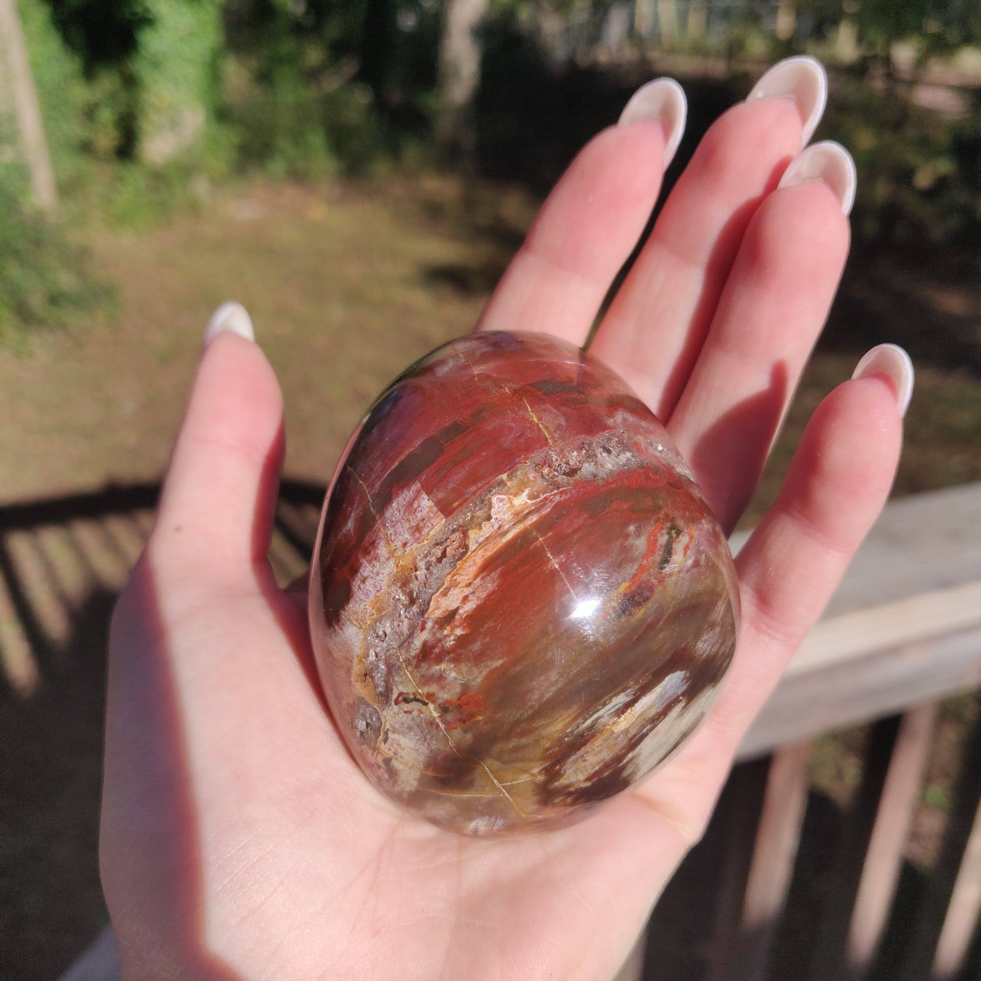 Large Petrified Wood Palm Stone (#12S) - Simply Affinity