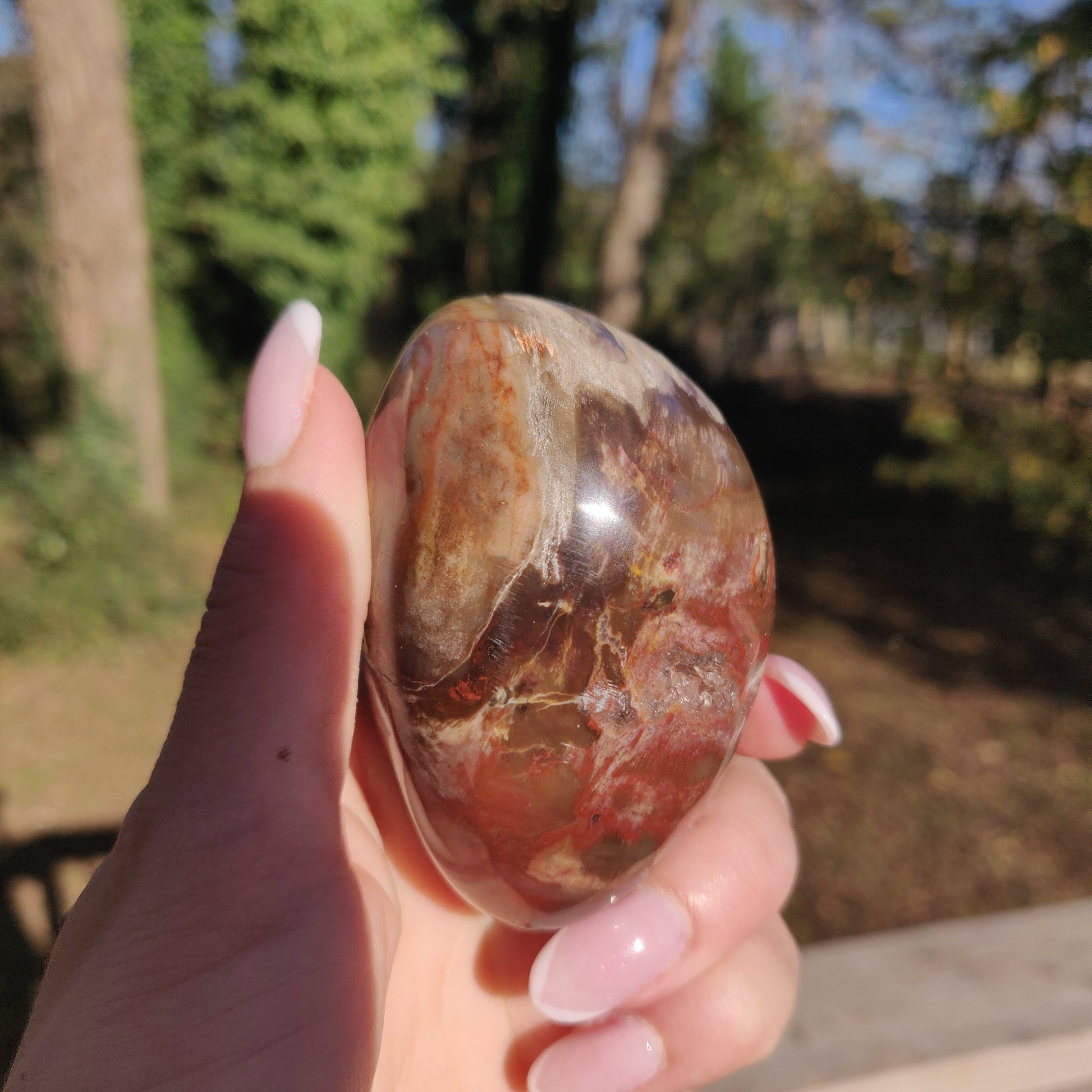 Large Petrified Wood Palm Stone (#12S) - Simply Affinity