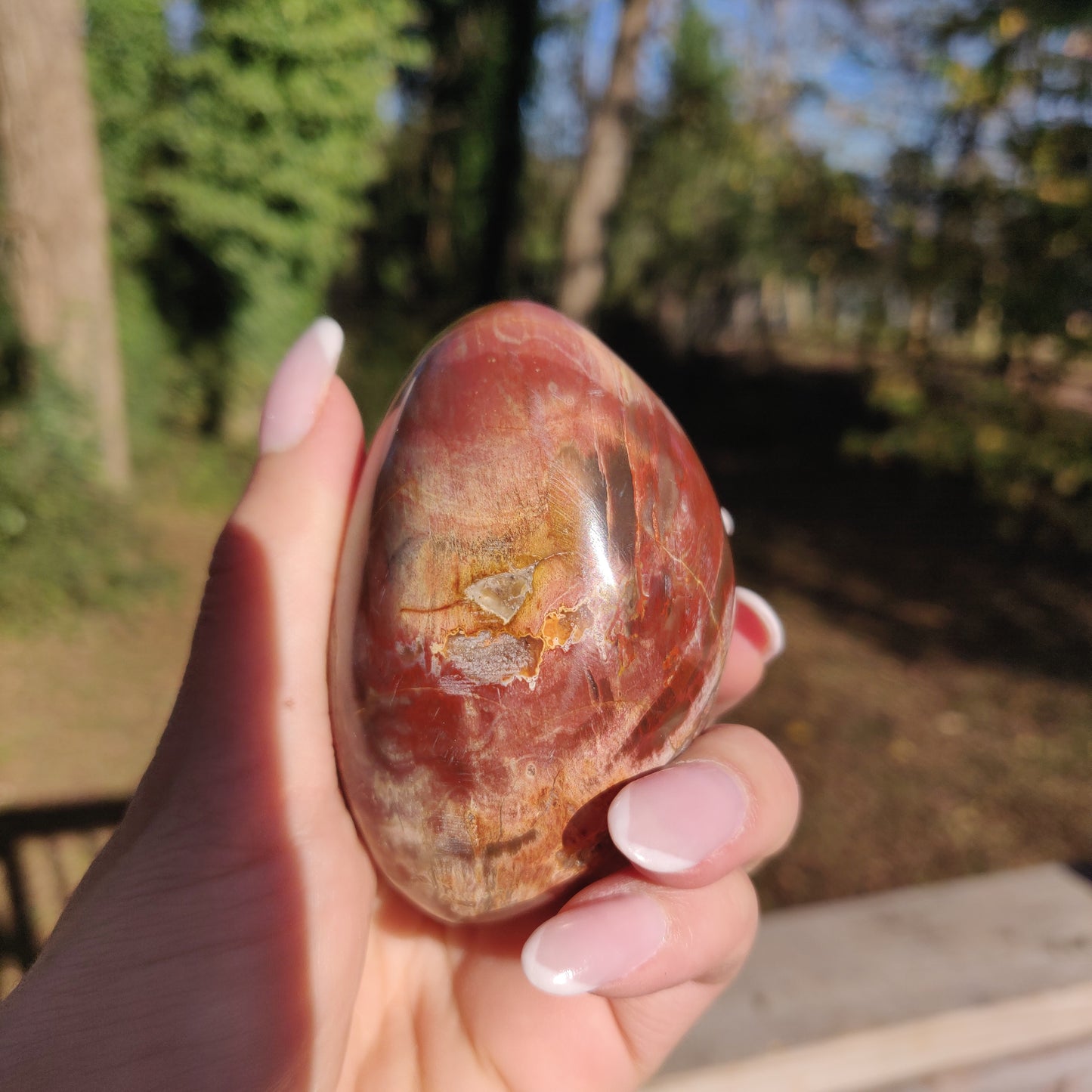 Large Petrified Wood Palm Stone (#12S) - Simply Affinity