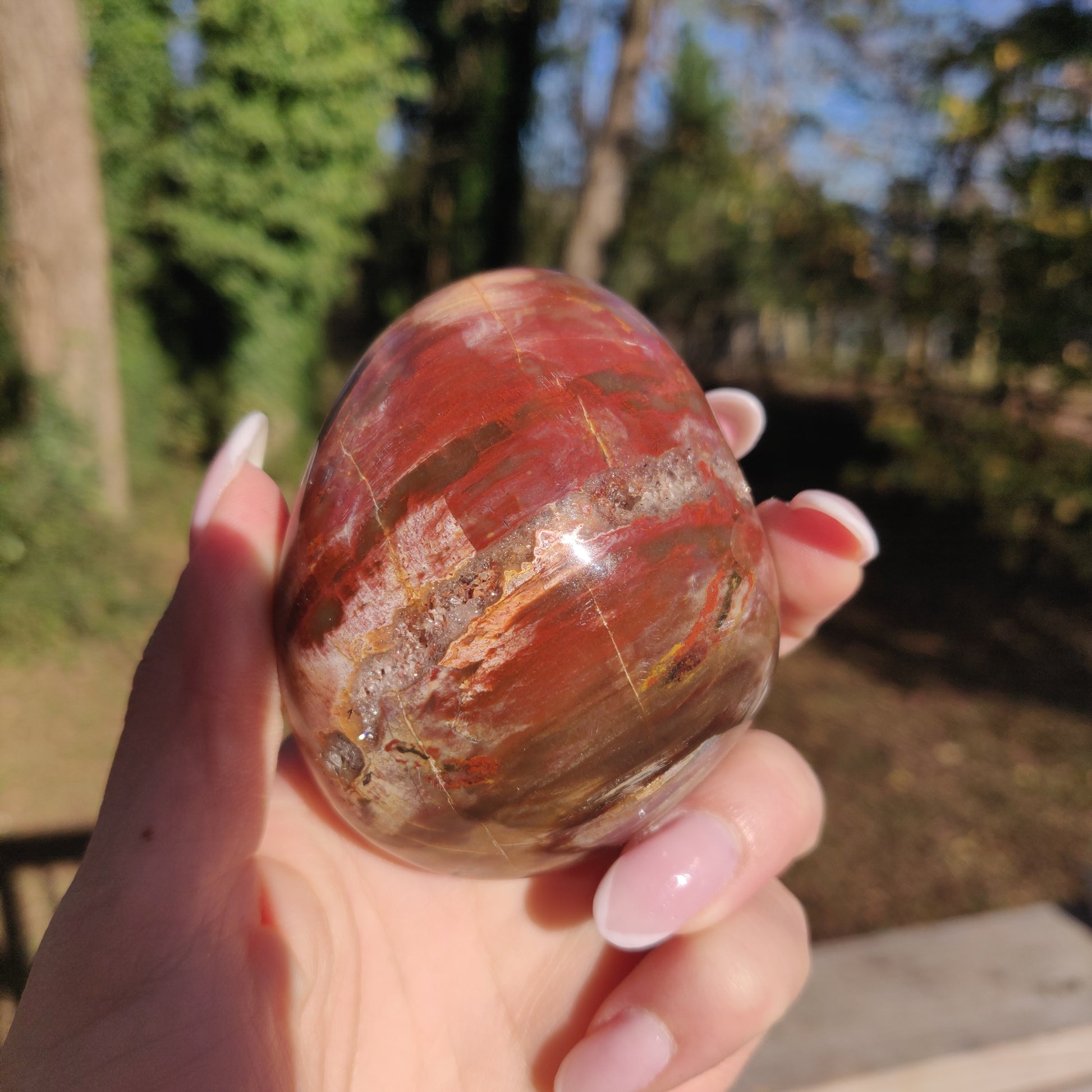 Large Petrified Wood Palm Stone (#12S) - Simply Affinity