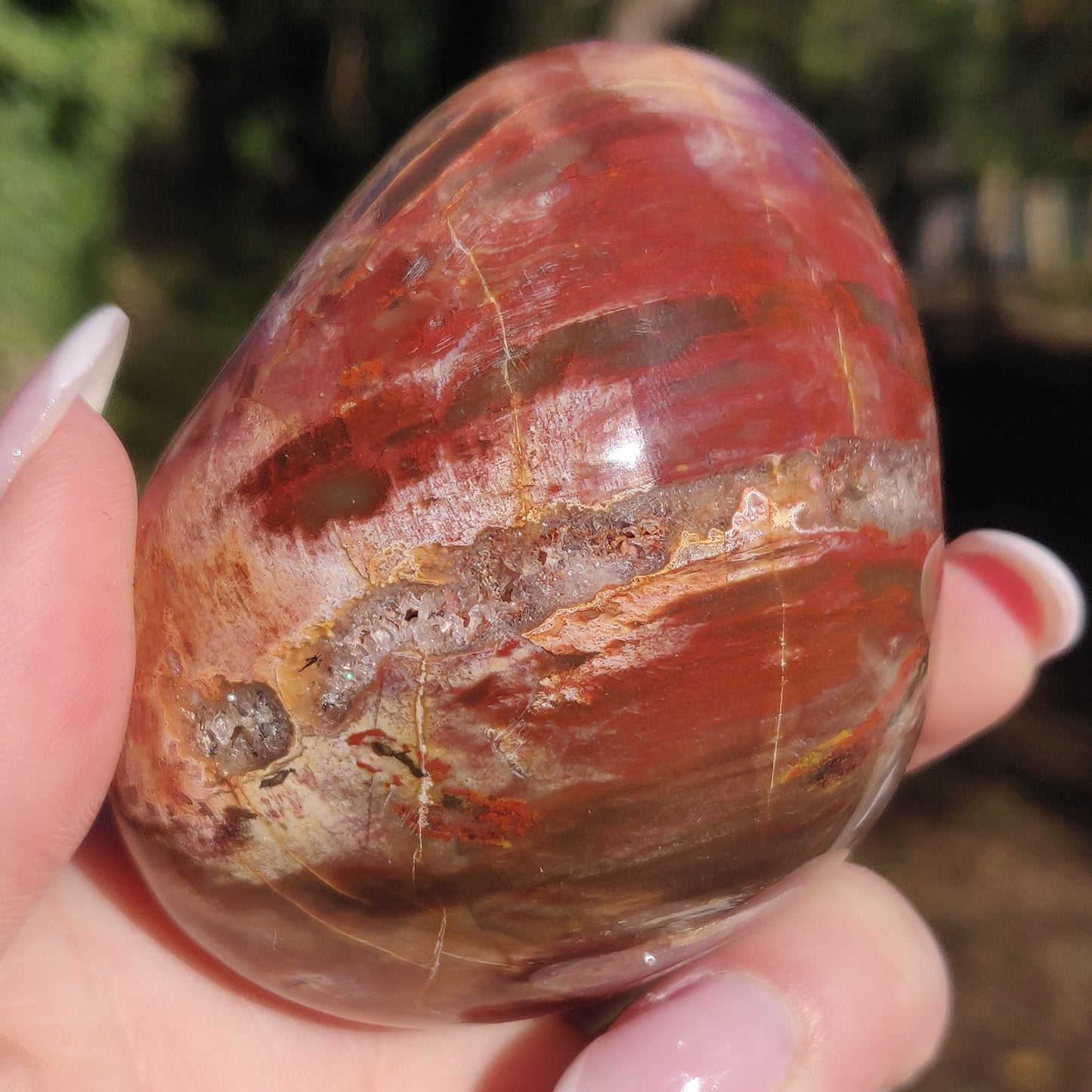 Large Petrified Wood Palm Stone (#12S) - Simply Affinity