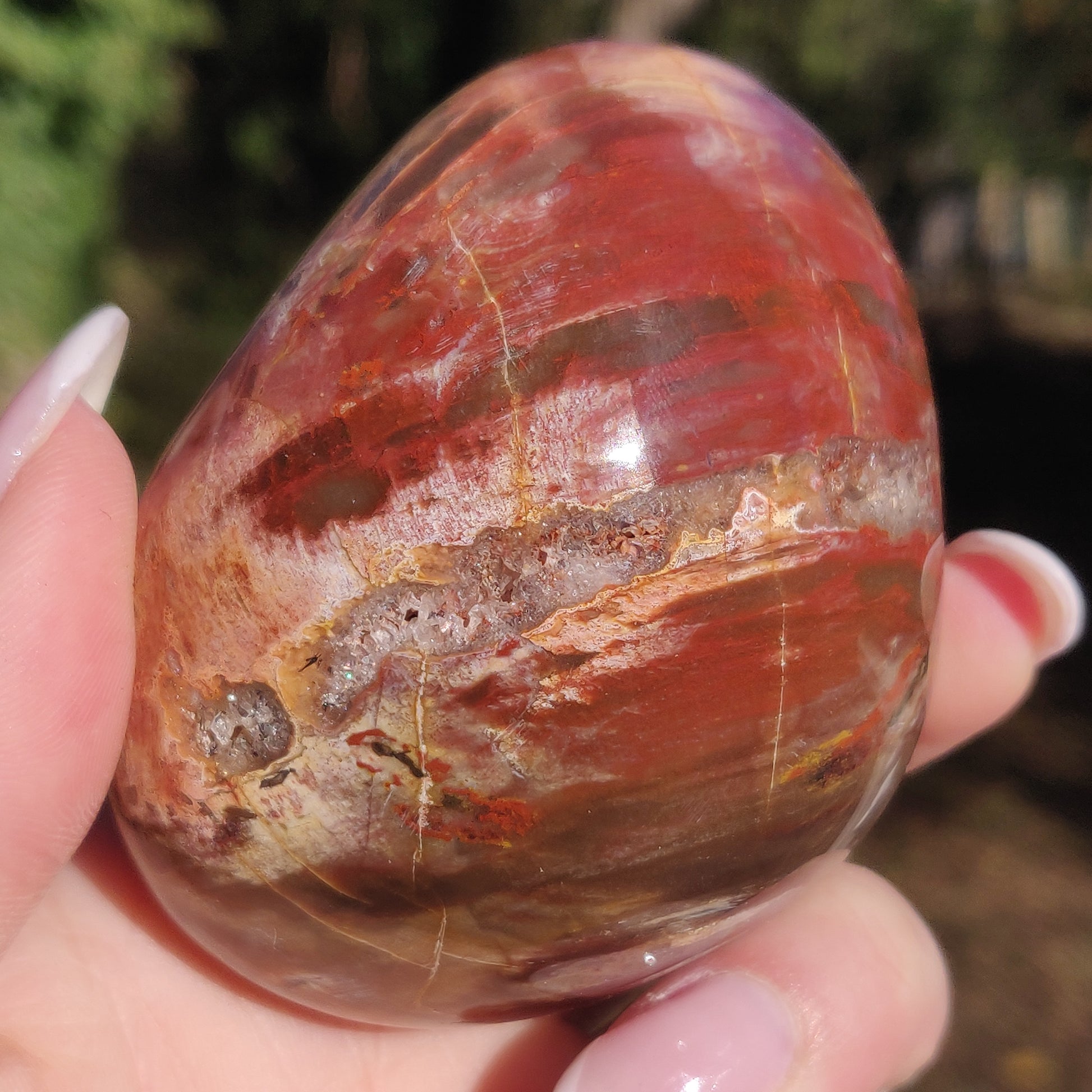 Large Petrified Wood Palm Stone (#12S) - Simply Affinity