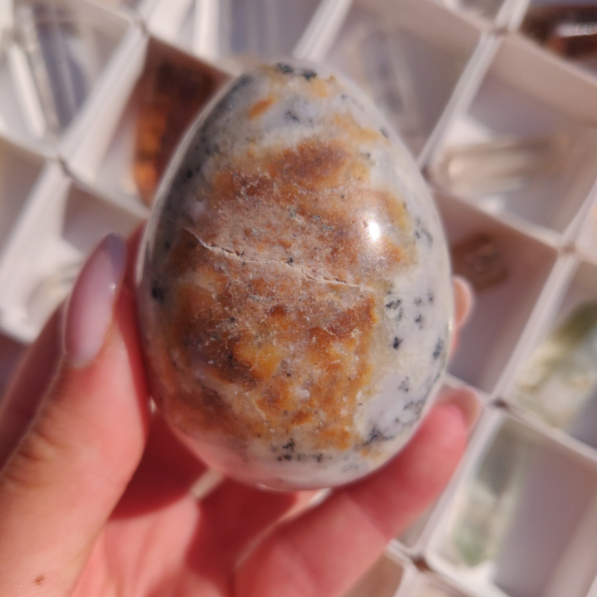 Purple Dendritic Opal Egg (#1) - Simply Affinity