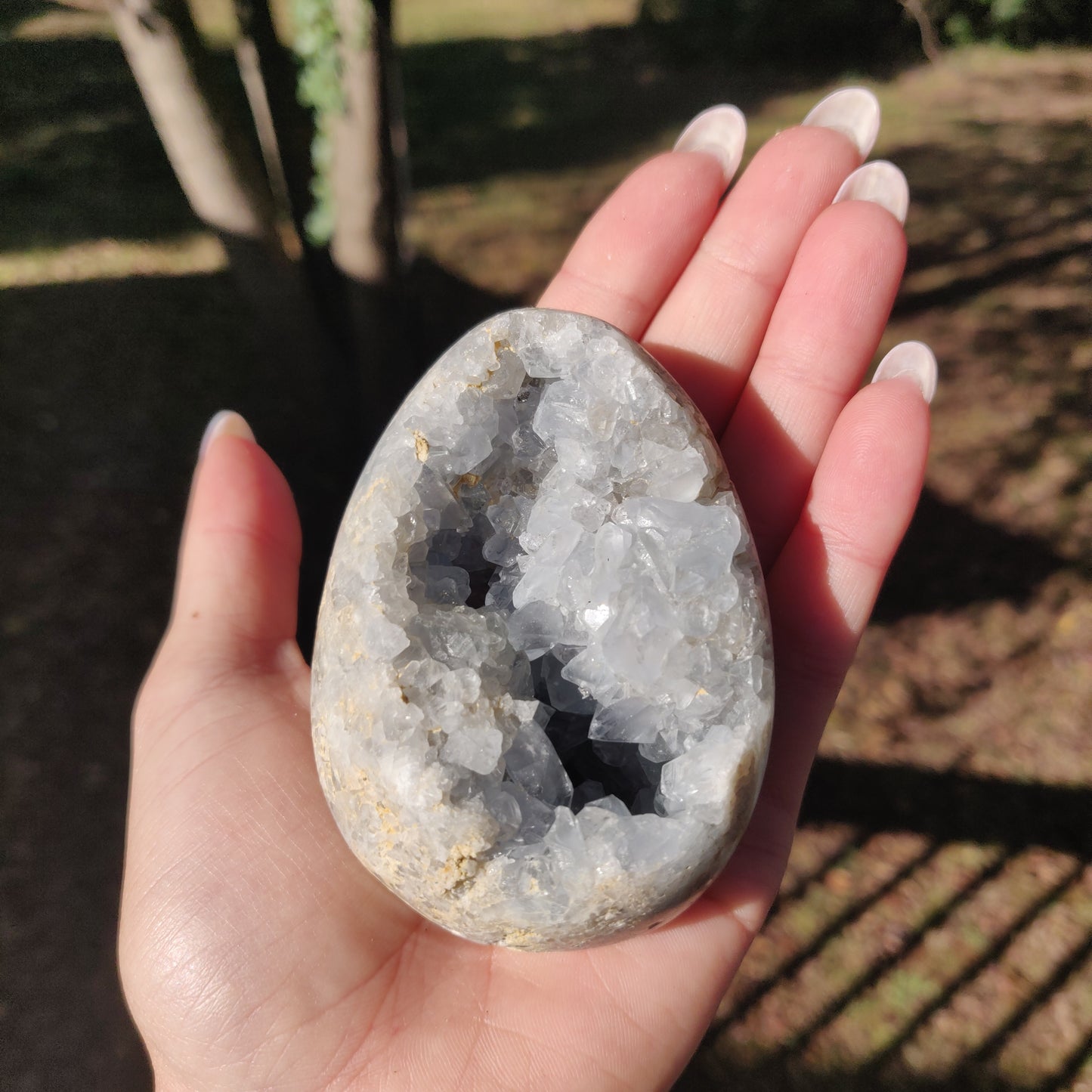 Celestite Egg (#1) - Simply Affinity