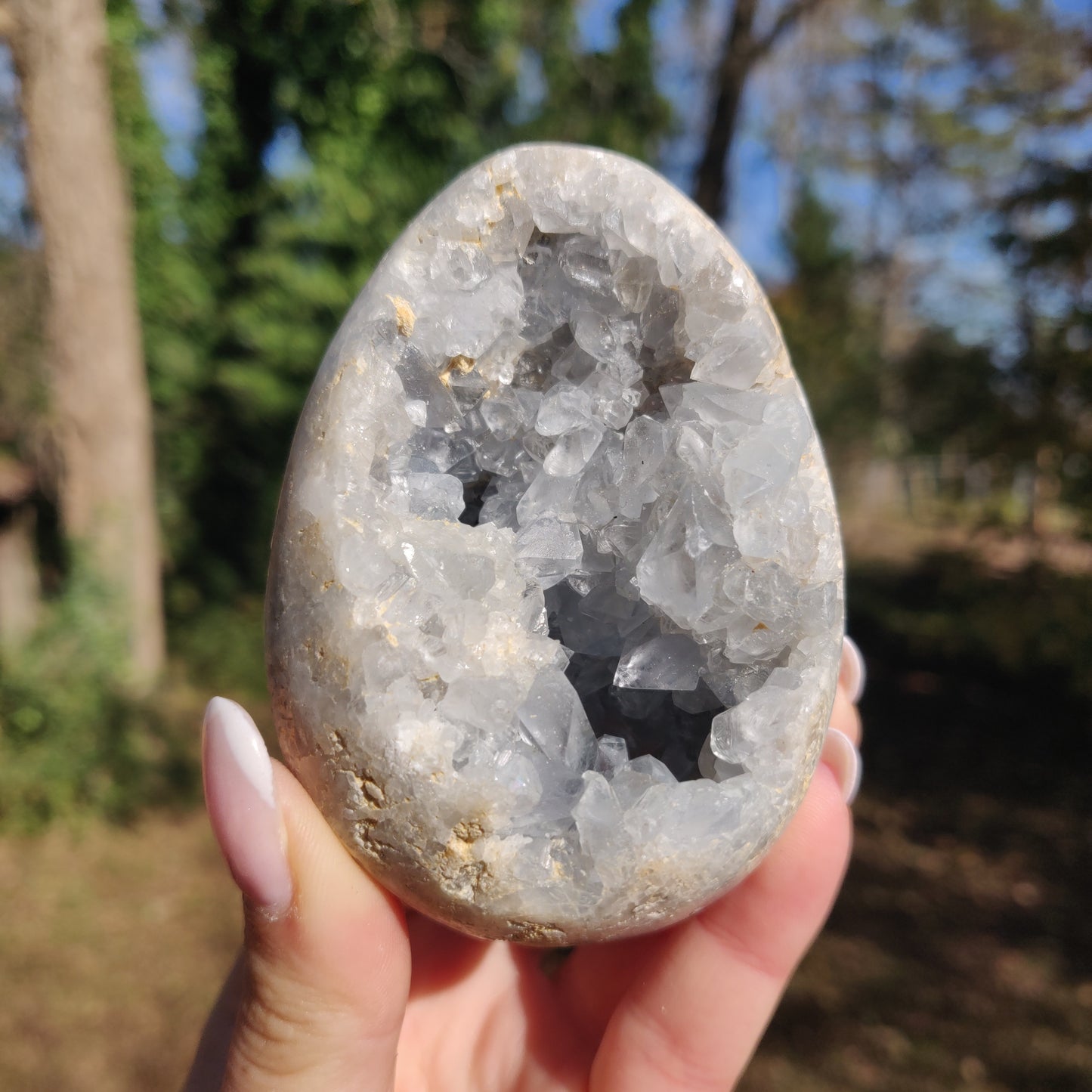 Celestite Egg (#1) - Simply Affinity