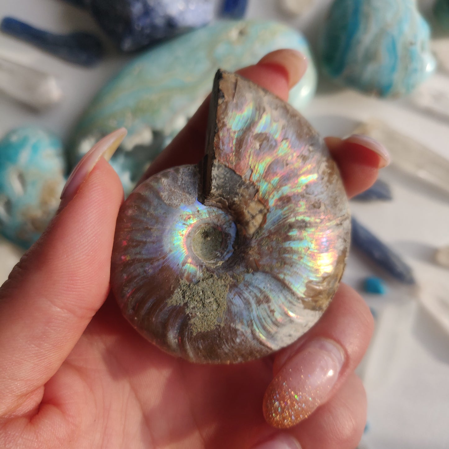Ammonite, Opalized Ammonite (#12) - Simply Affinity