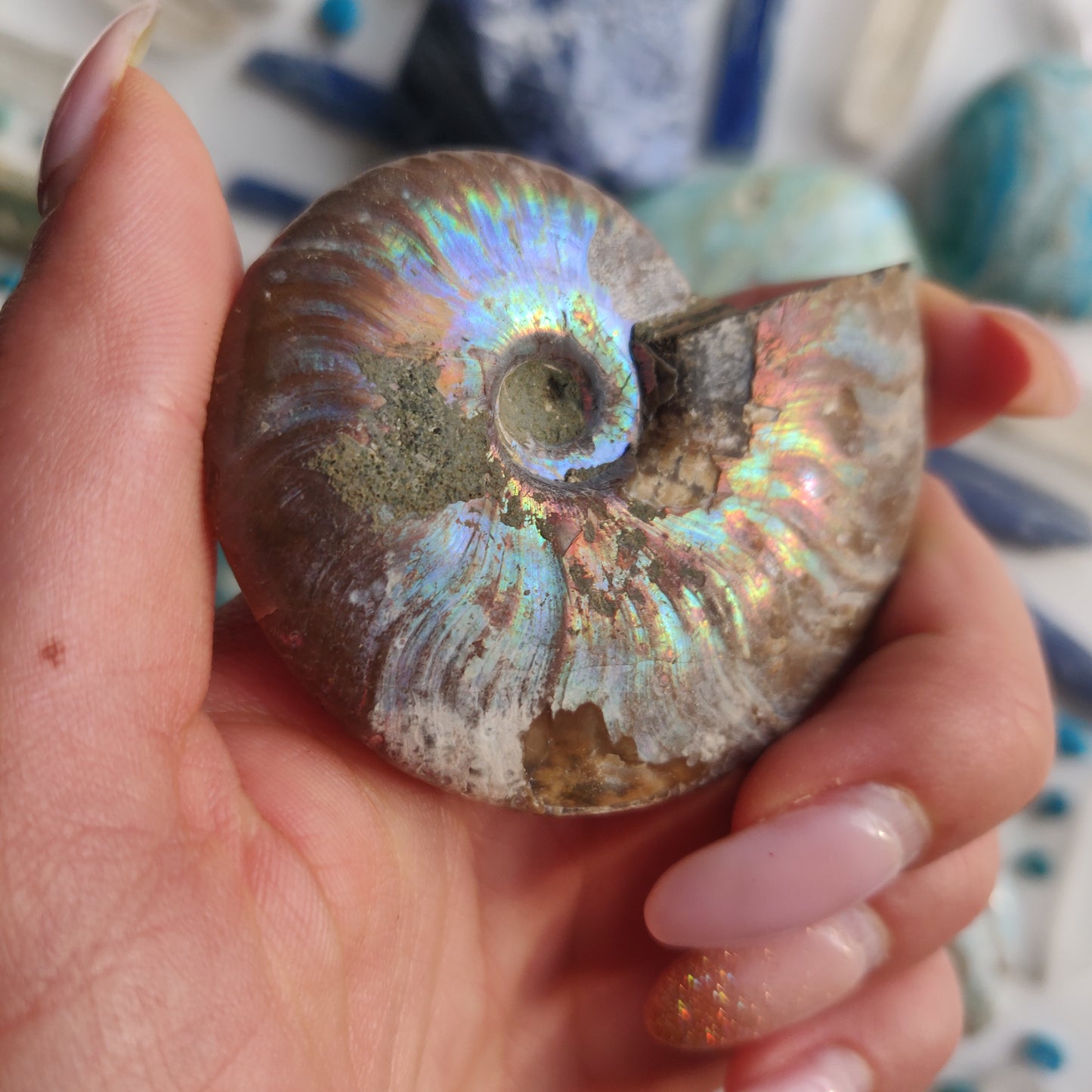 Ammonite, Opalized Ammonite (#12) - Simply Affinity