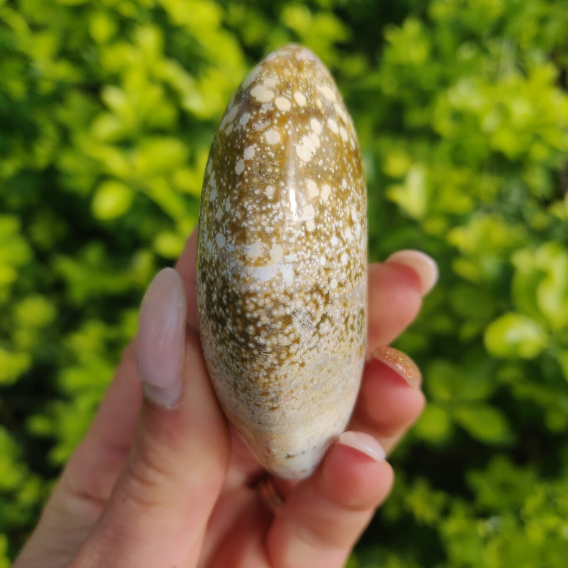 Ocean Jasper Palm Stone (#2) - Simply Affinity