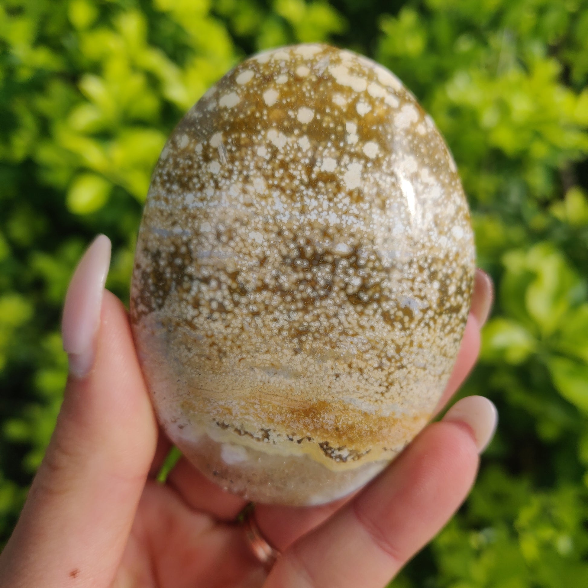 Ocean Jasper Palm Stone (#2) - Simply Affinity
