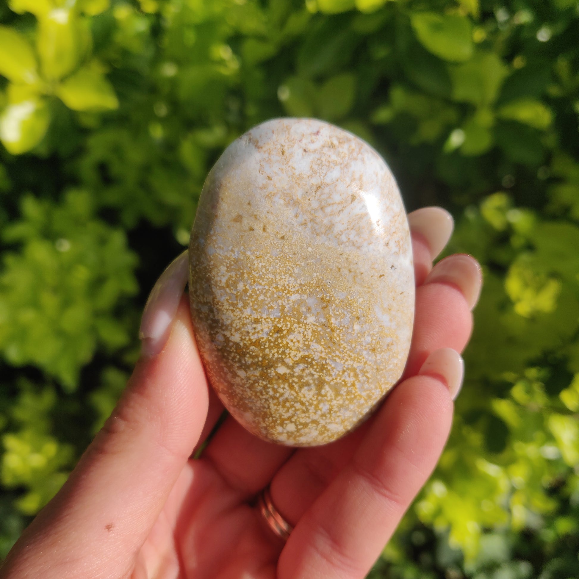 Ocean Jasper Palm Stone (#3) - Simply Affinity