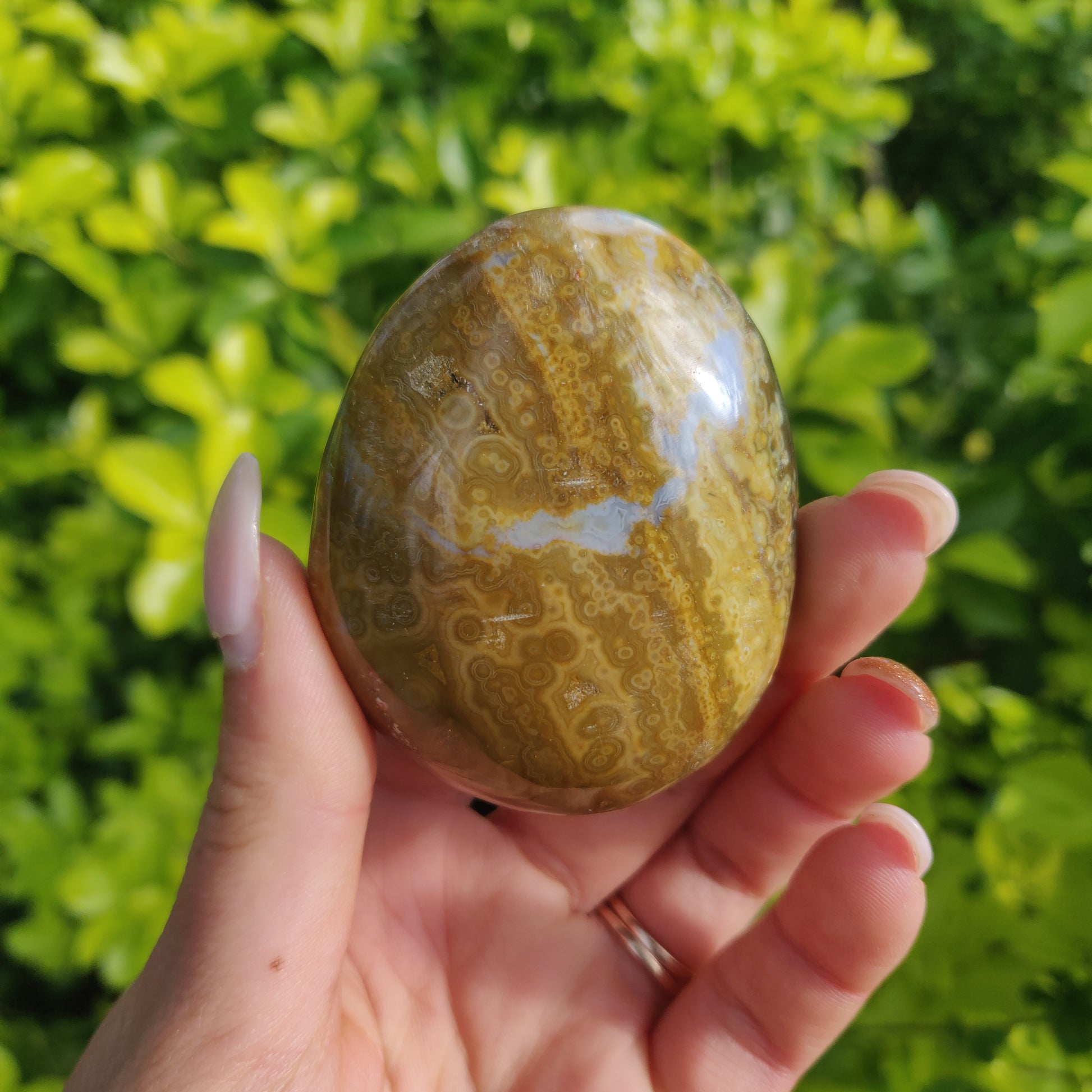 Ocean Jasper Palm Stone (#12) - Simply Affinity