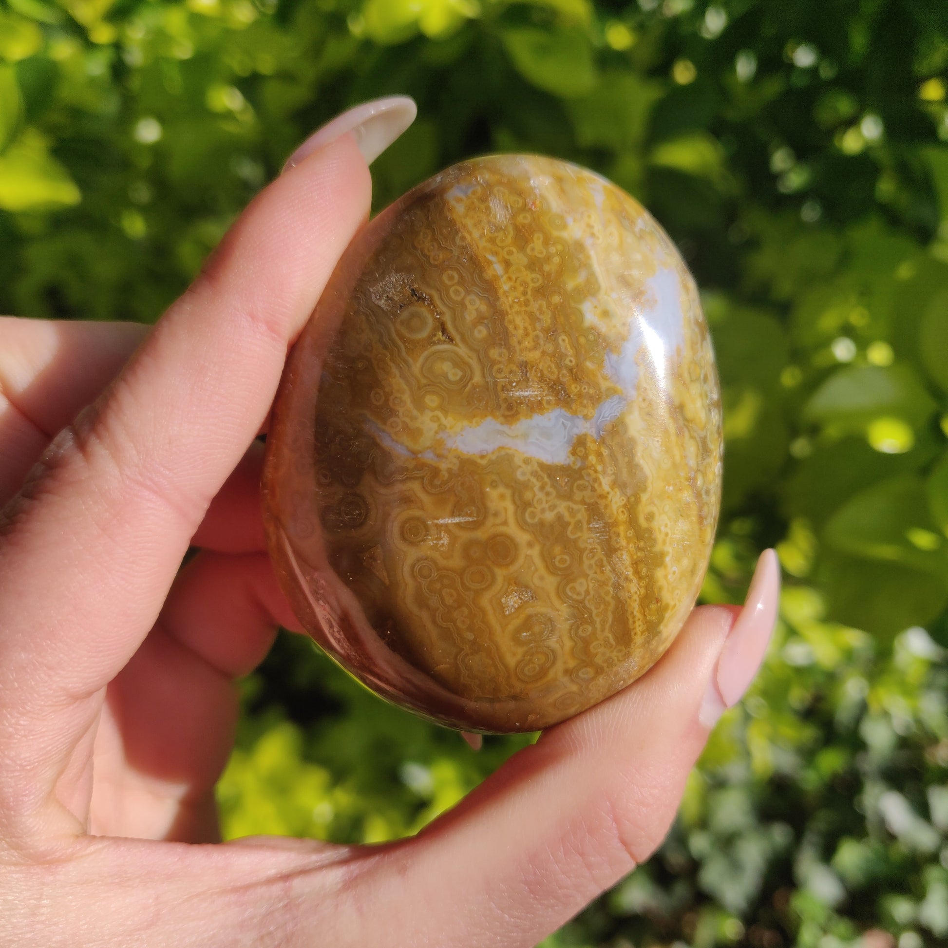 Ocean Jasper Palm Stone (#12) - Simply Affinity