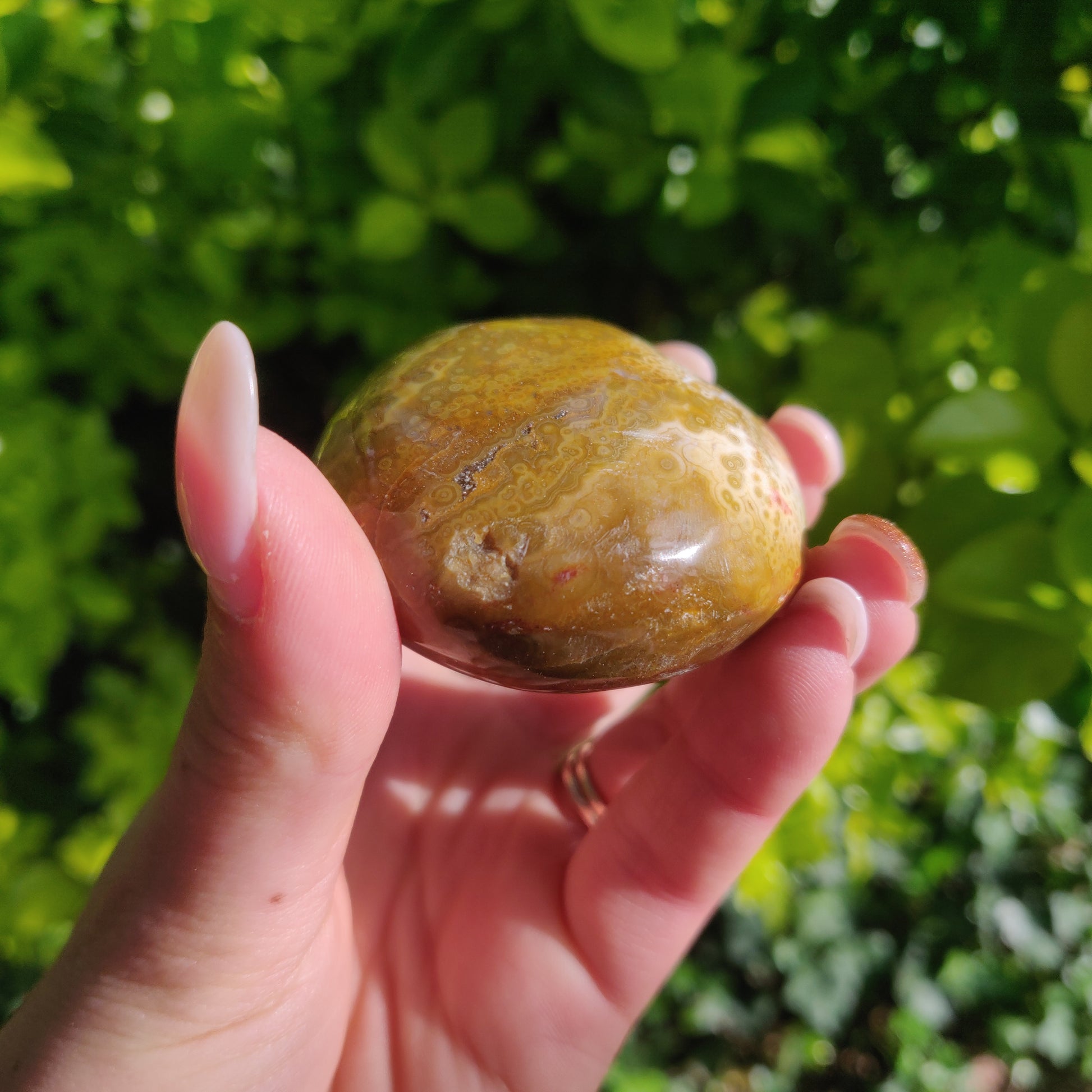 Ocean Jasper Palm Stone (#12) - Simply Affinity