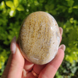 Ocean Jasper Palm Stone (#24) - Simply Affinity