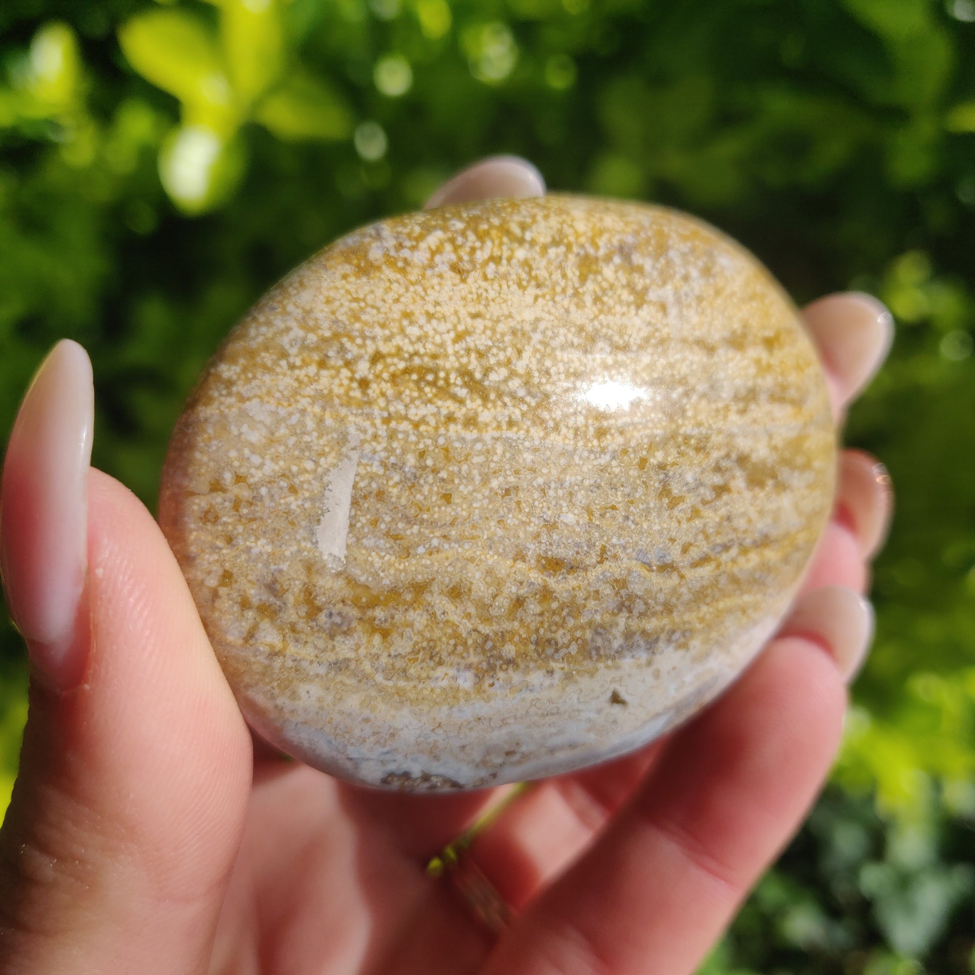 Ocean Jasper Palm Stone (#24) - Simply Affinity