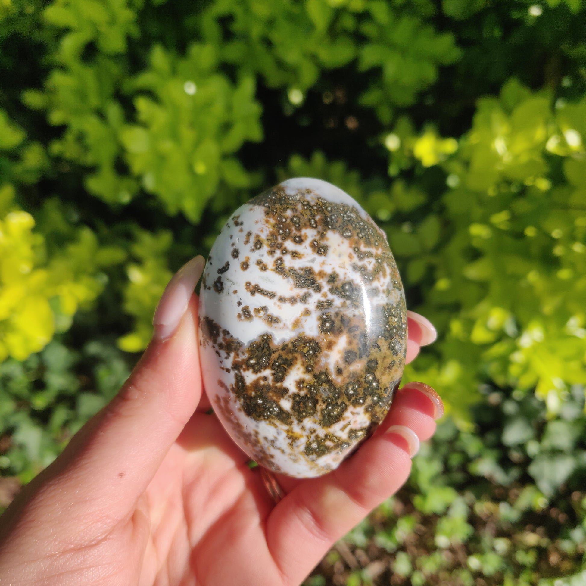 Ocean Jasper Palm Stone (#66) - Simply Affinity