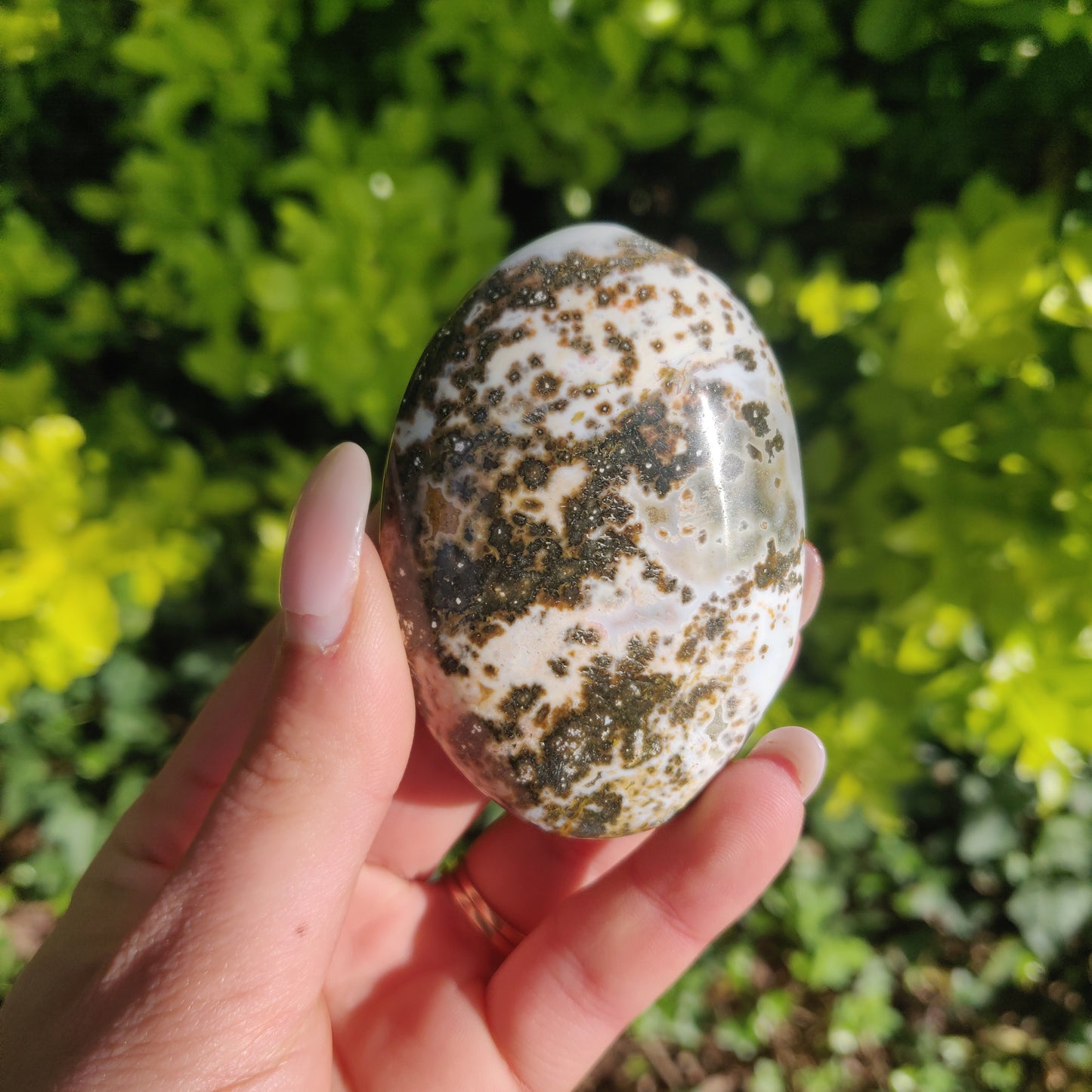 Ocean Jasper Palm Stone (#66) - Simply Affinity