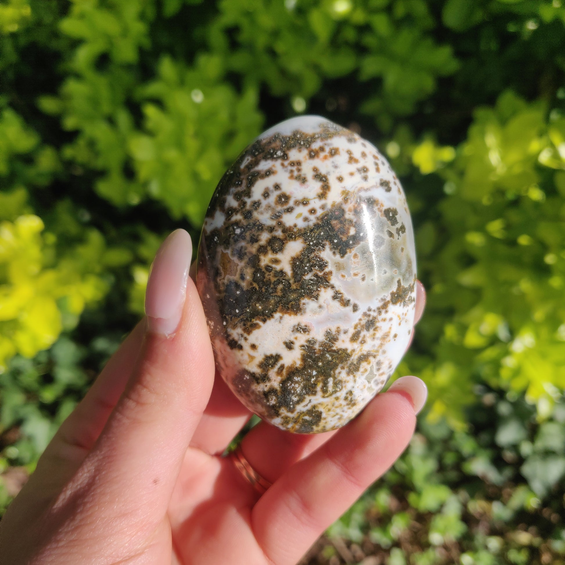 Ocean Jasper Palm Stone (#66) - Simply Affinity