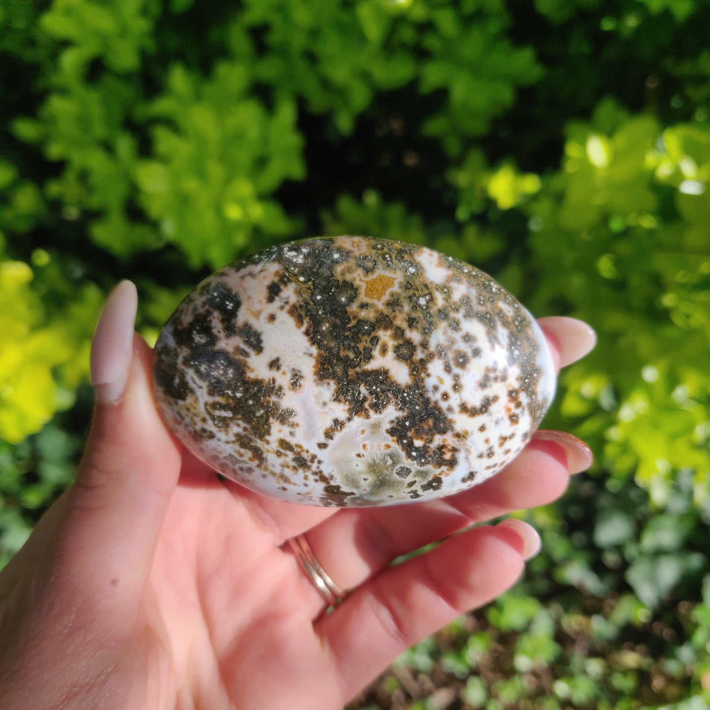 Ocean Jasper Palm Stone (#66) - Simply Affinity