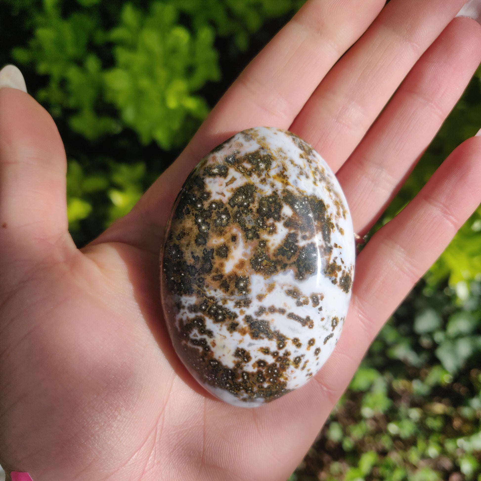 Ocean Jasper Palm Stone (#66) - Simply Affinity