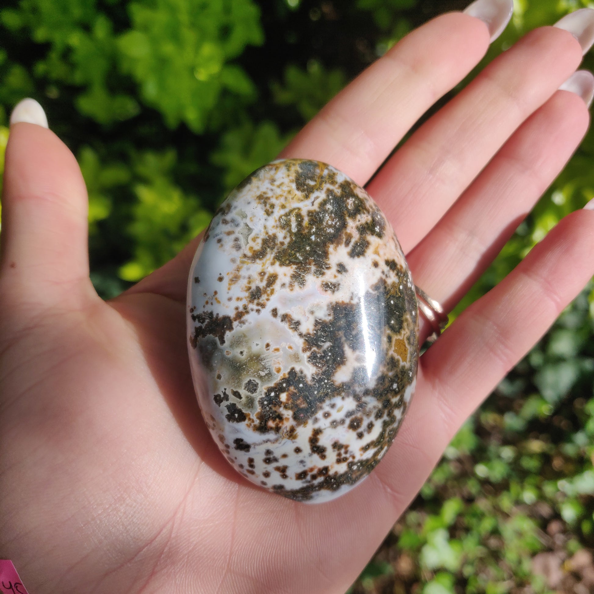 Ocean Jasper Palm Stone (#66) - Simply Affinity