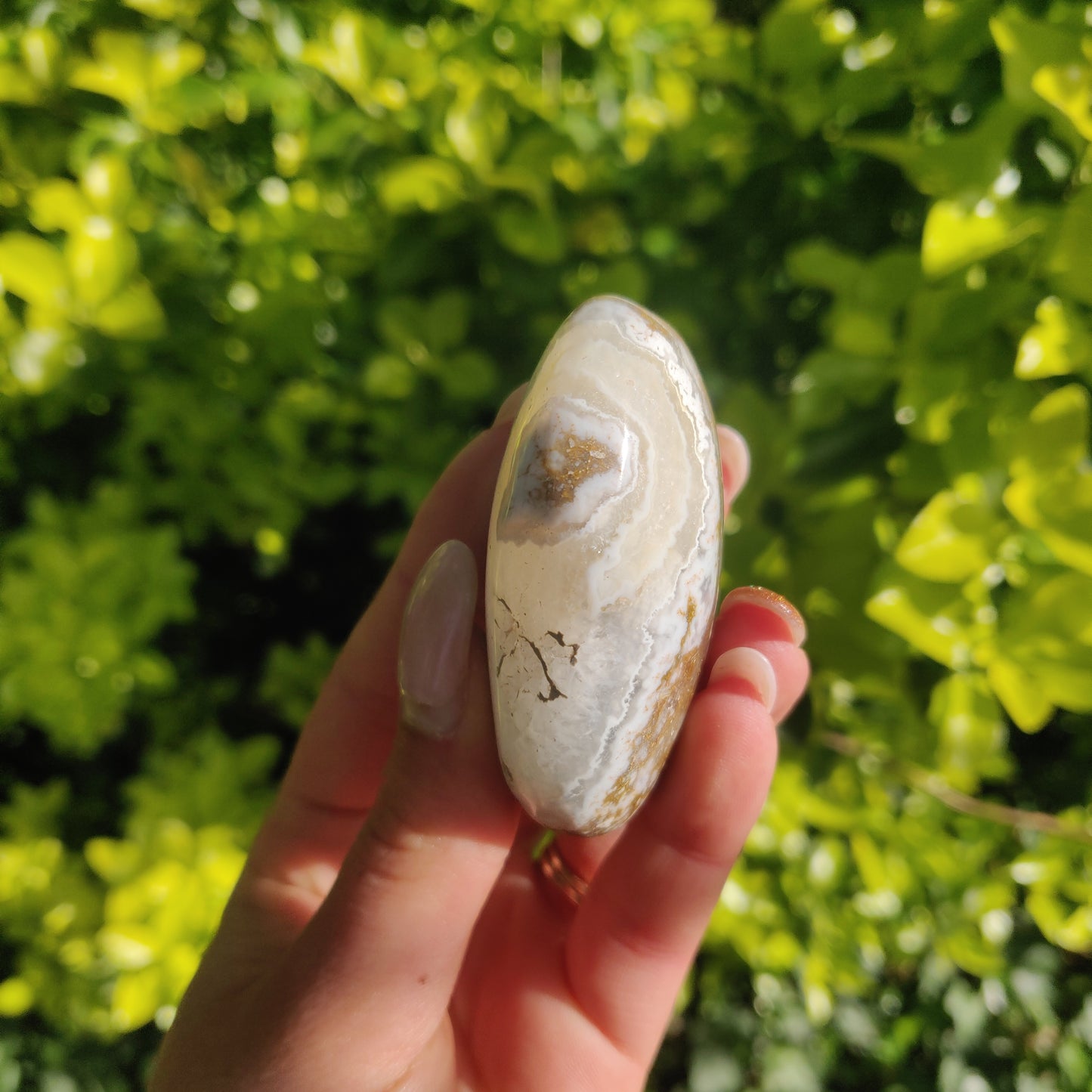 Ocean Jasper Palm Stone (#61) - Simply Affinity