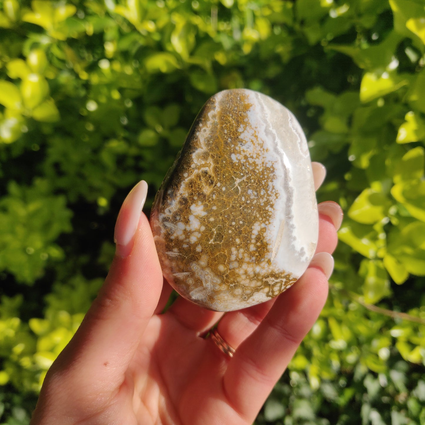 Ocean Jasper Palm Stone (#61) - Simply Affinity
