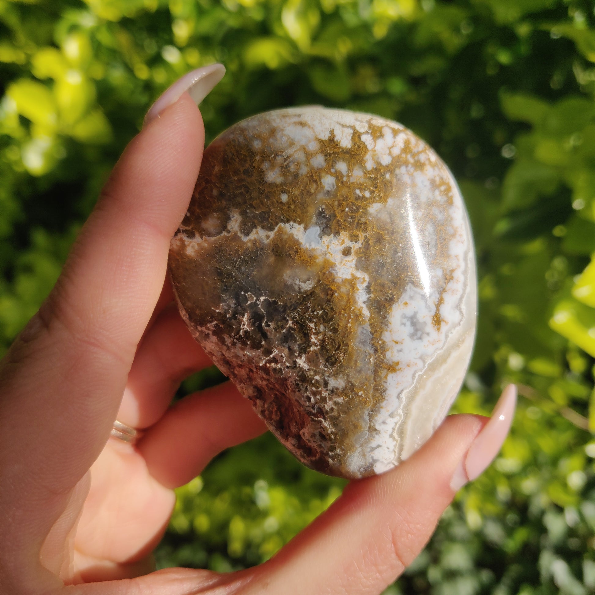 Ocean Jasper Palm Stone (#61) - Simply Affinity