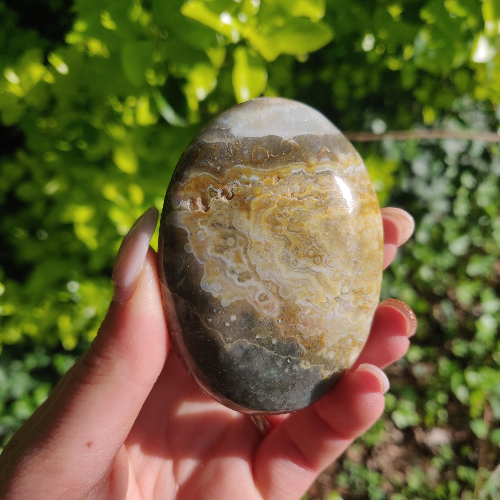 Ocean Jasper Palm Stone (#62) - Simply Affinity