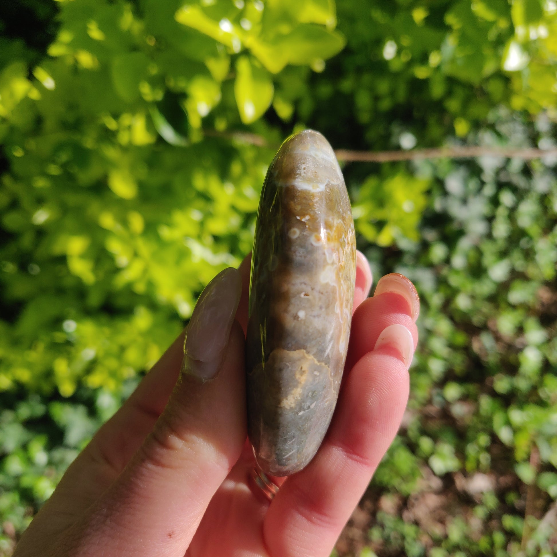 Ocean Jasper Palm Stone (#62) - Simply Affinity