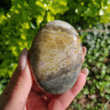Ocean Jasper Palm Stone (#62) - Simply Affinity