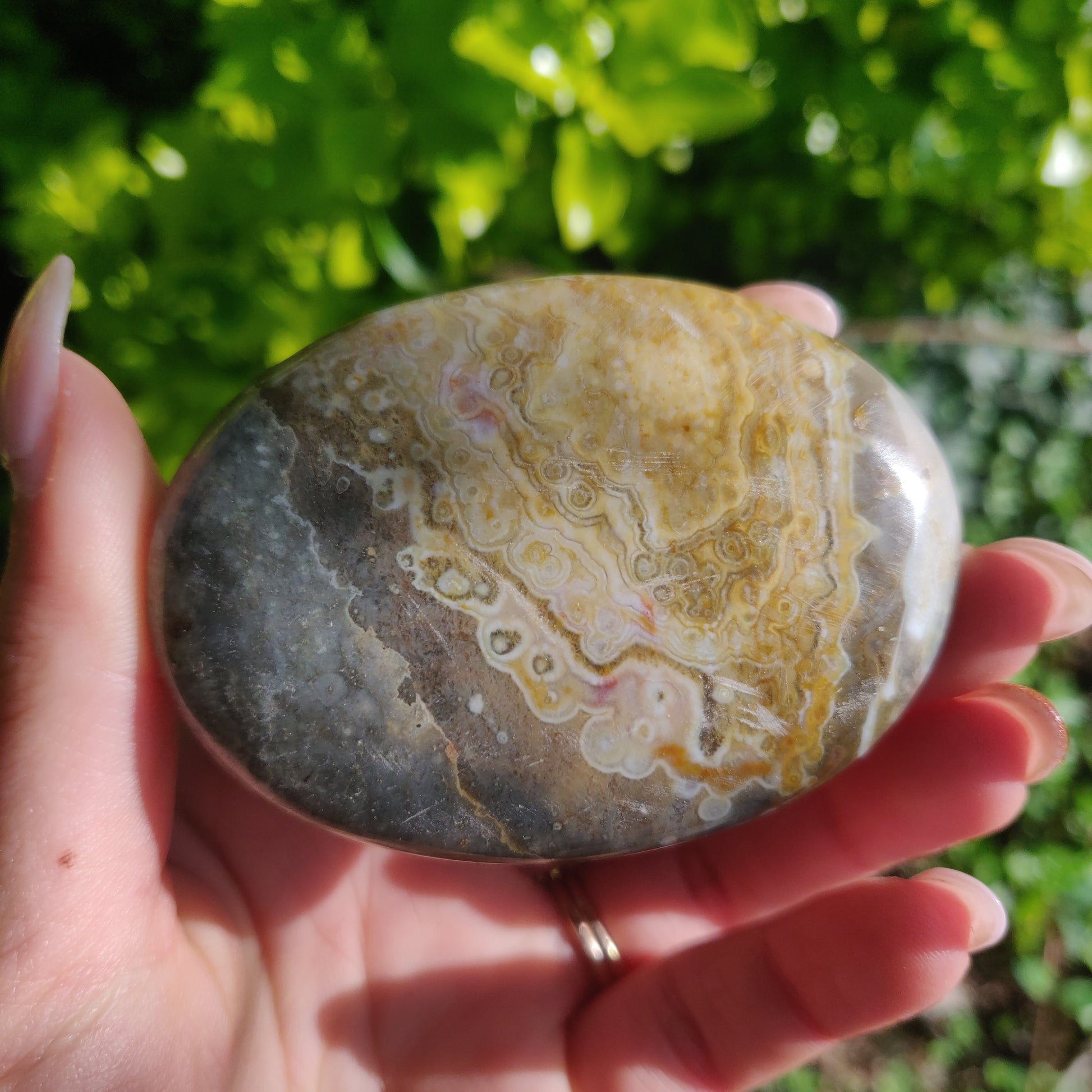 Ocean Jasper Palm Stone (#62) - Simply Affinity