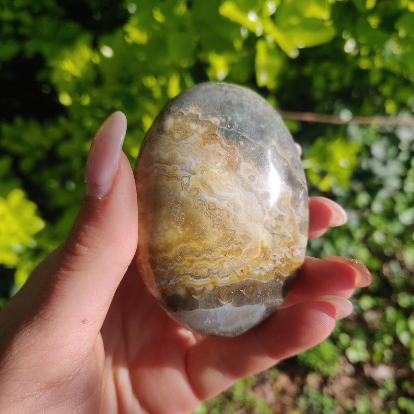 Ocean Jasper Palm Stone (#62) - Simply Affinity