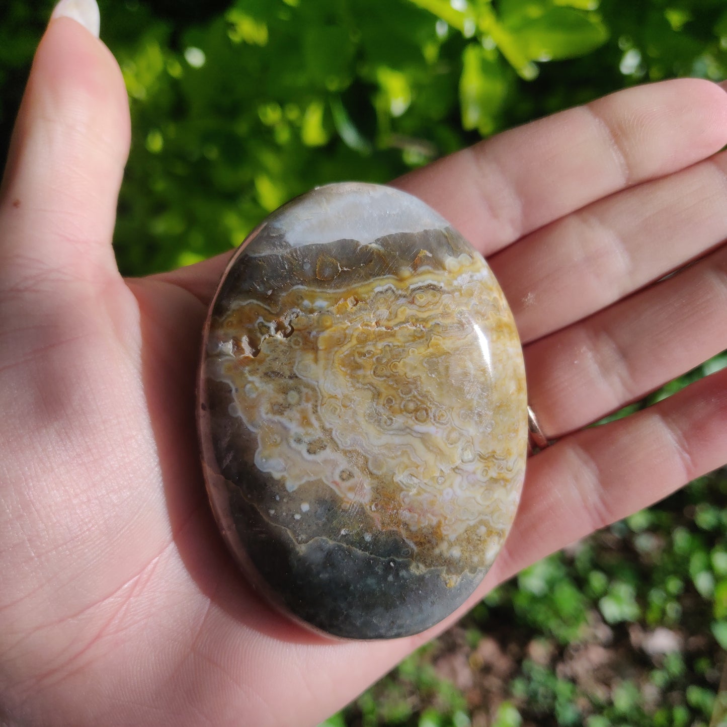 Ocean Jasper Palm Stone (#62) - Simply Affinity