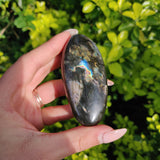 Labradorite Palm Stone (#80) - Simply Affinity