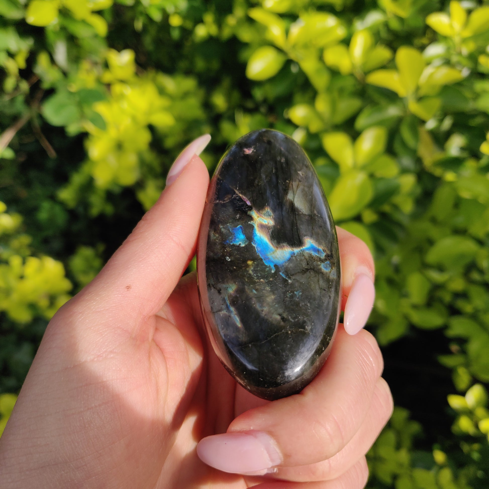 Labradorite Palm Stone (#80) - Simply Affinity