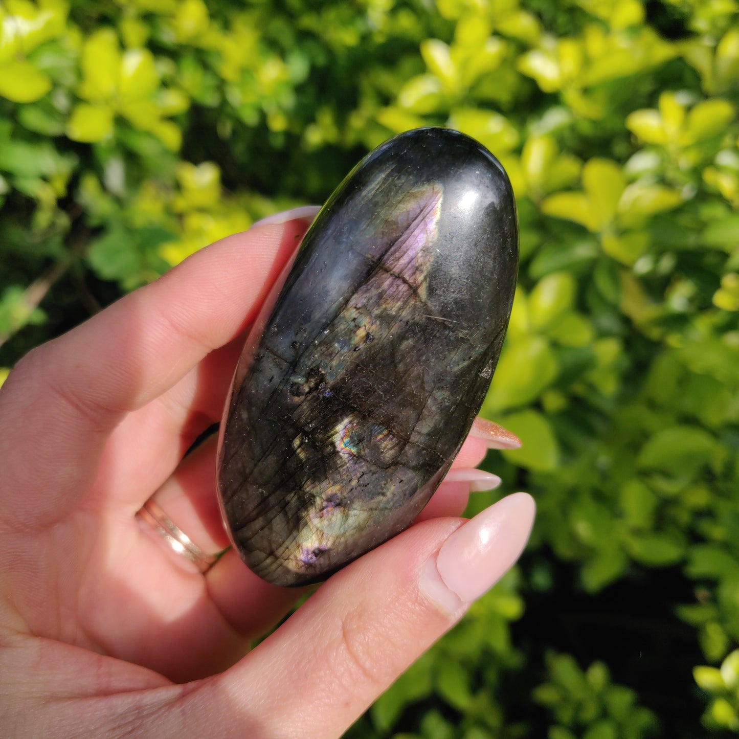 Labradorite Palm Stone (#80) - Simply Affinity