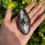 Labradorite Palm Stone (#80) - Simply Affinity