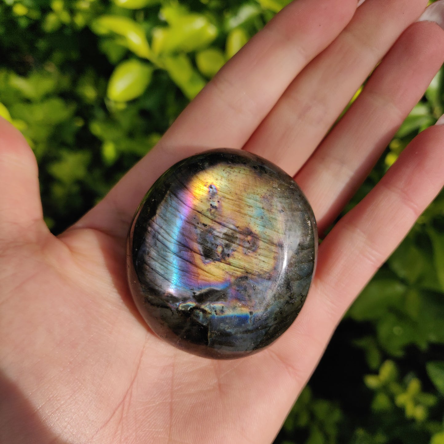 Labradorite Palm Stone (#273) - Simply Affinity