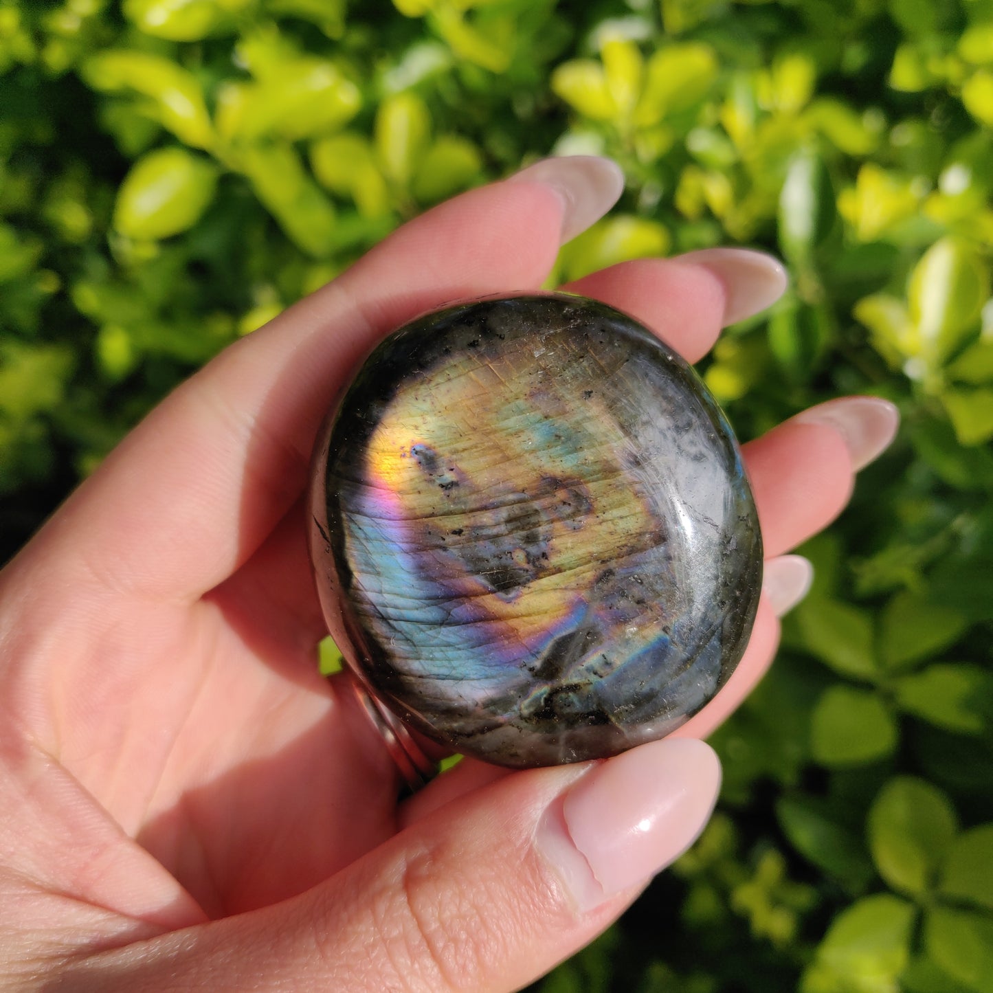 Labradorite Palm Stone (#273) - Simply Affinity