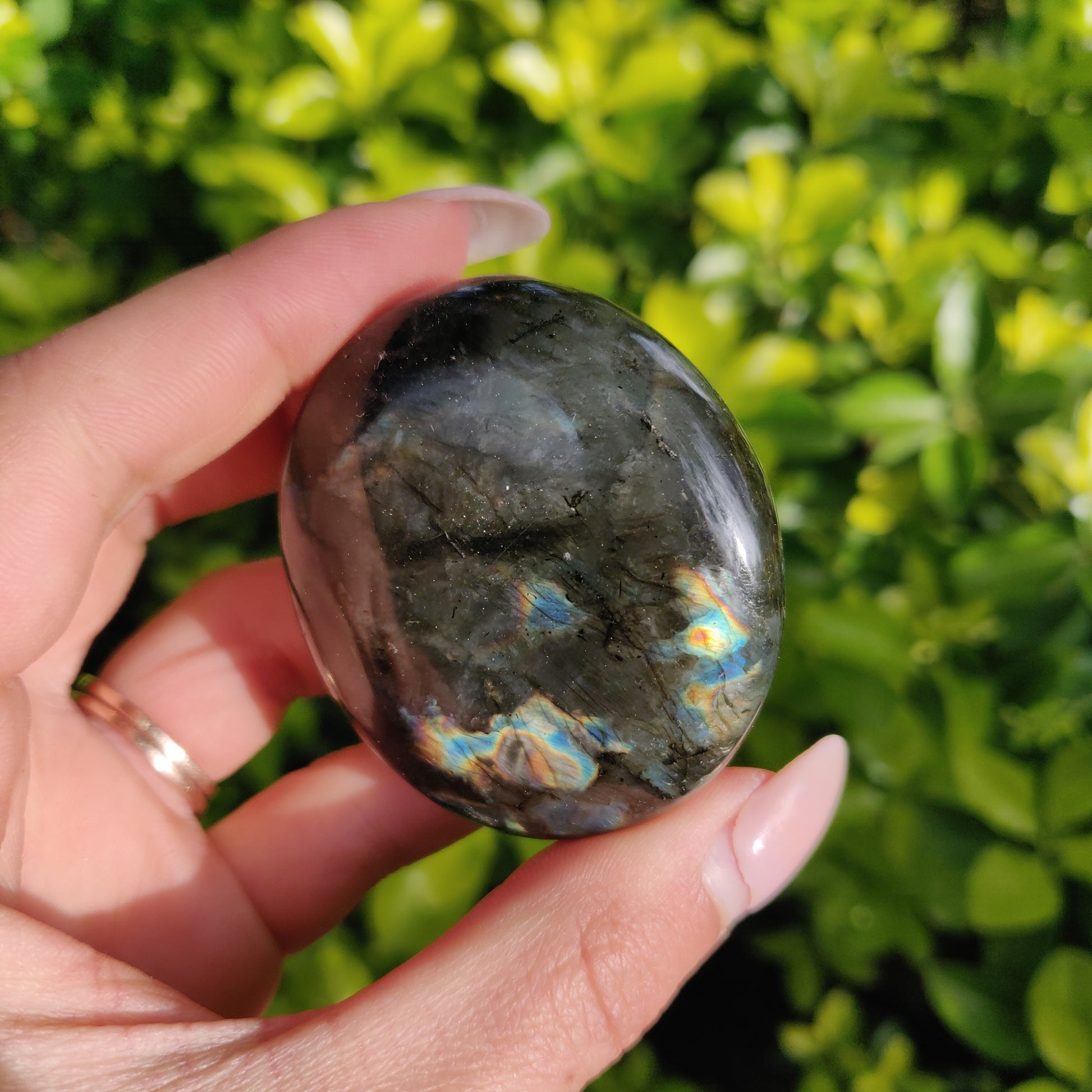 Labradorite Palm Stone (#273) - Simply Affinity