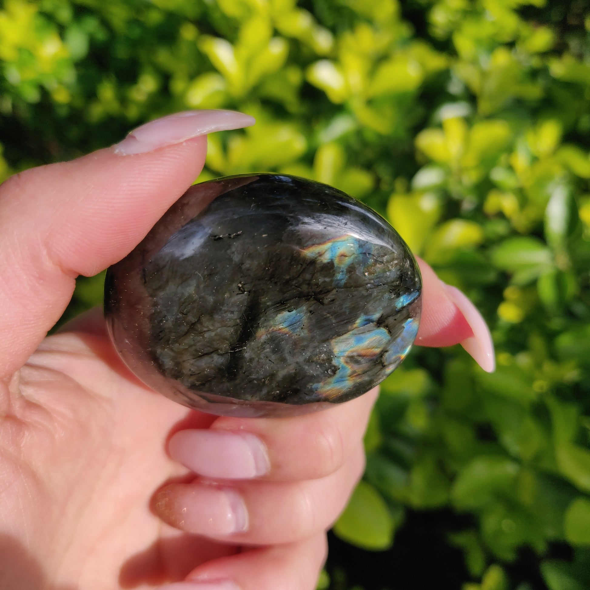 Labradorite Palm Stone (#273) - Simply Affinity