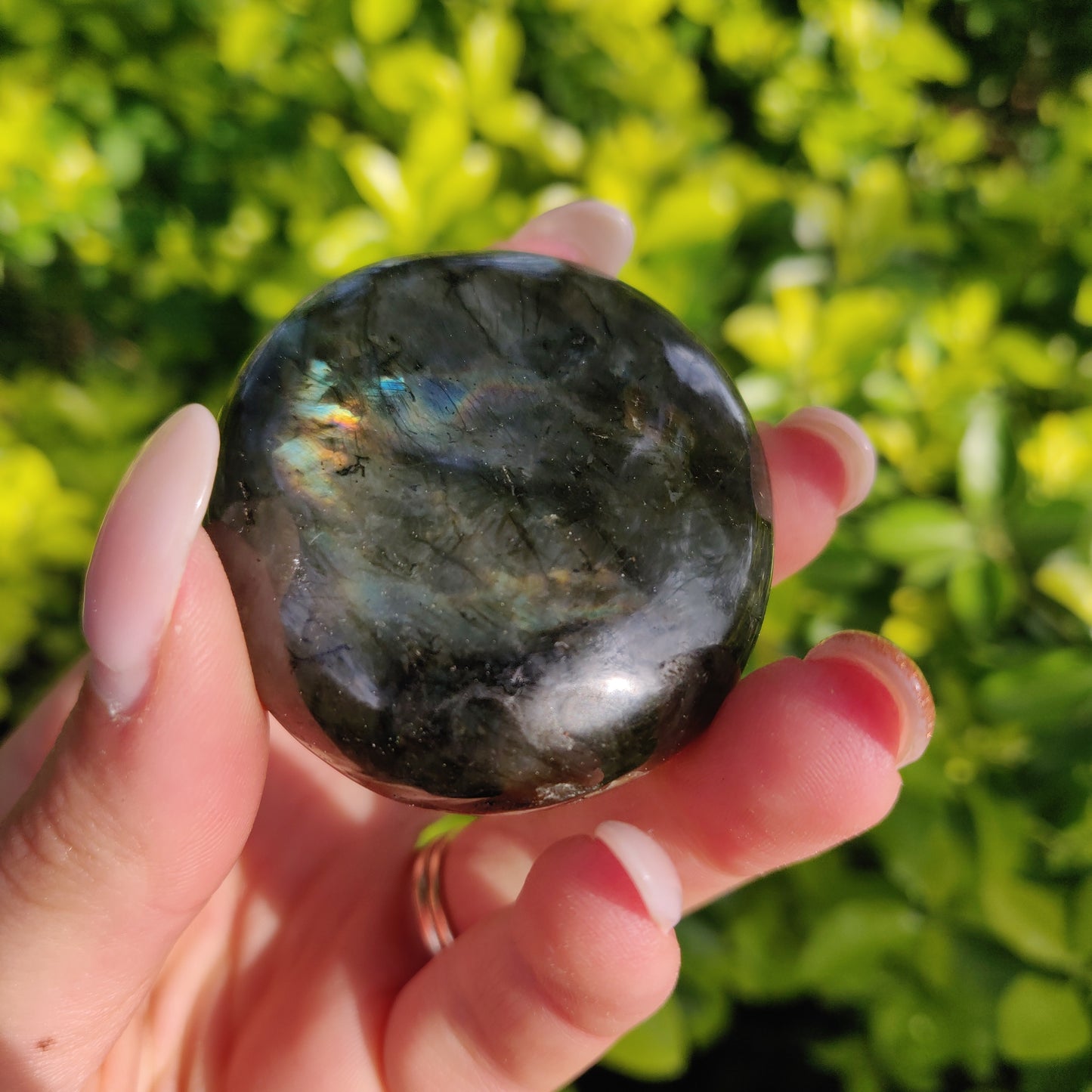 Labradorite Palm Stone (#273) - Simply Affinity